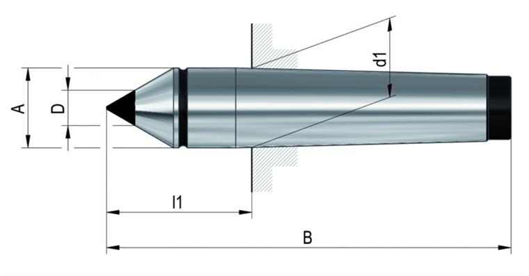 LIZZARD ZENTR-SPITZE WS MK5 HM60G VSP