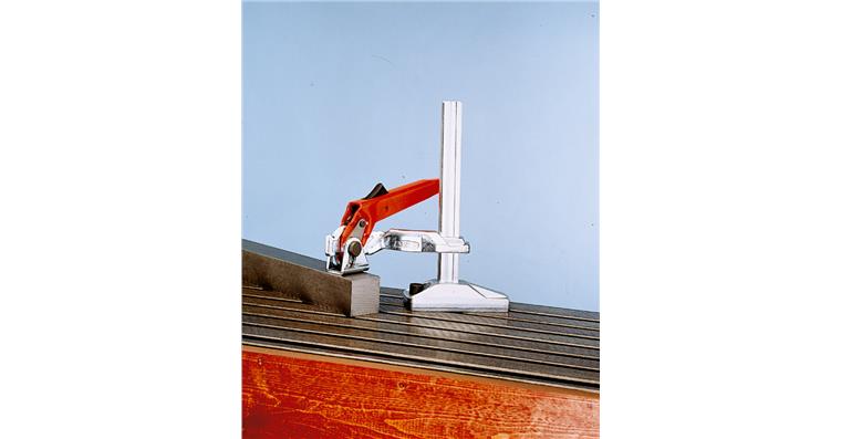 Schnellspanner (Maschinentisch-Spanner) Gr. 2 100 x 200 mm