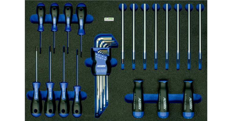 1059658301 OPT-I-STORE Einlage 520x345x30mm für TORX®-Drehmomentschraubersatz Nr. 59658 101