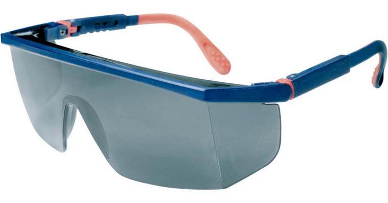 LIZZARD Schutzbrille MAX A1 Scheibe grau