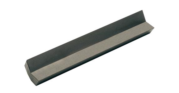 ATORN Einlegeprisma passend für Halter A 85x14 mm