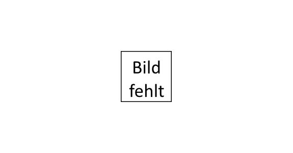 FÄUSTEL 4 KG MIT FIBERGLAS-STIEL FUNKENFREI GED1034000F